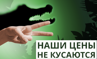 Наши цены нижний
